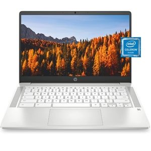 HP Chromebook 14"